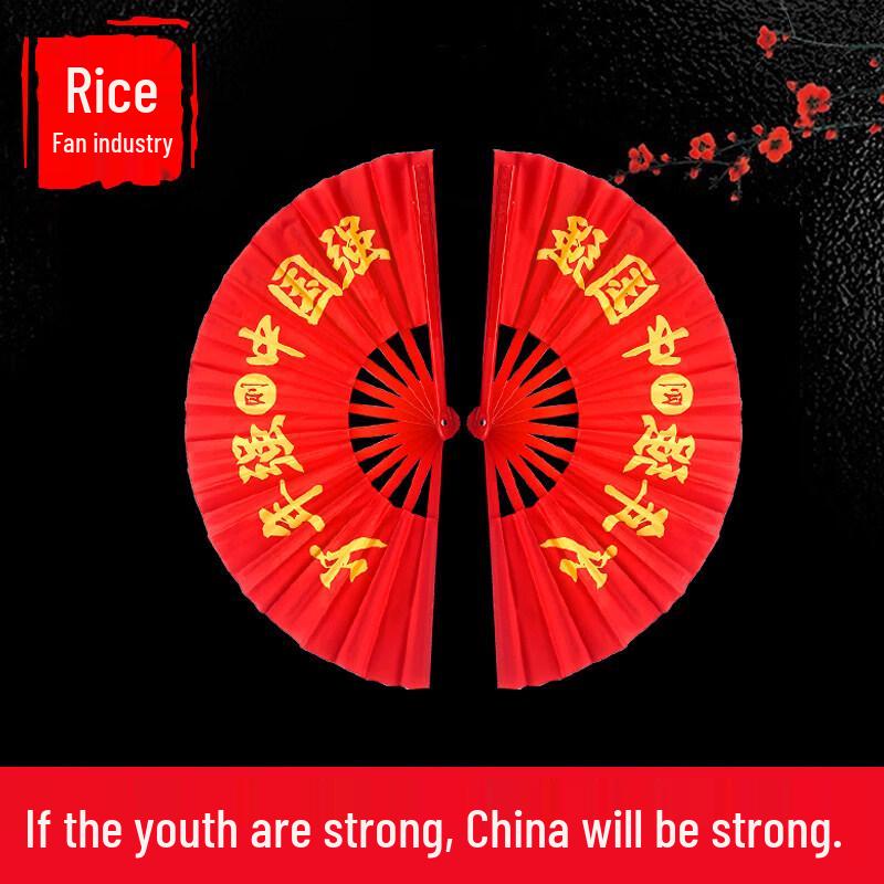 Веер Тайцзицюань Кунг-фу LIEI