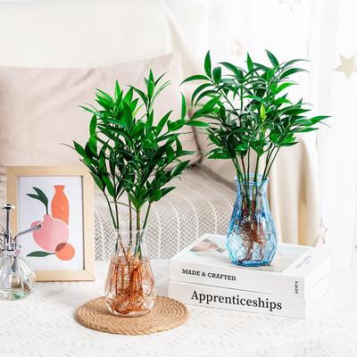 Kreativer transparenter Hydrokultur-Pflanzenblumentopf, grüner Efeu, Kupfer-Geldgras, Imitations-Glasvase, Kunststoffharz-Ornament