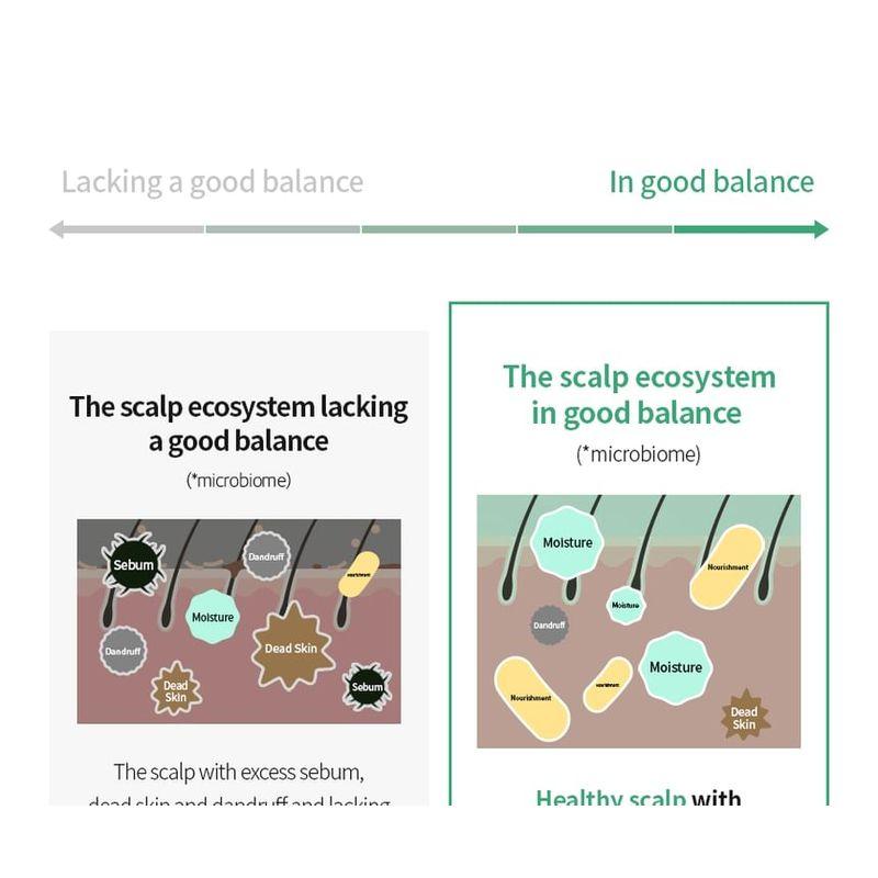 MASIL - 5 Probiotics Scalp Scaling Shampoo Stick Pouch