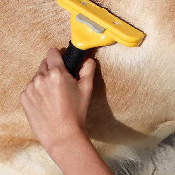 Ding Dong Pet Pet Dead Hair Removal Deshading Brush, Korean Pet Shampoo