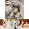 Licensed Pomeranian Plush Stuffed Toy For Kids Birthdays With Soft Pp Cotton Filling