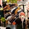 Haikyu Print Umbrella Automatic Opening/ Closing - Portable Foldable Design - Daily Use for Travel/Outdoor - Gift for Birthday