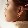 INS French Niche Geometric Titanium Steel Earrings: 18K Gold Three-Line Design for Women