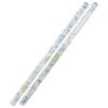 Sumikko Gurashi 2B Pencils Set of 12 - GoGo School Angel Design