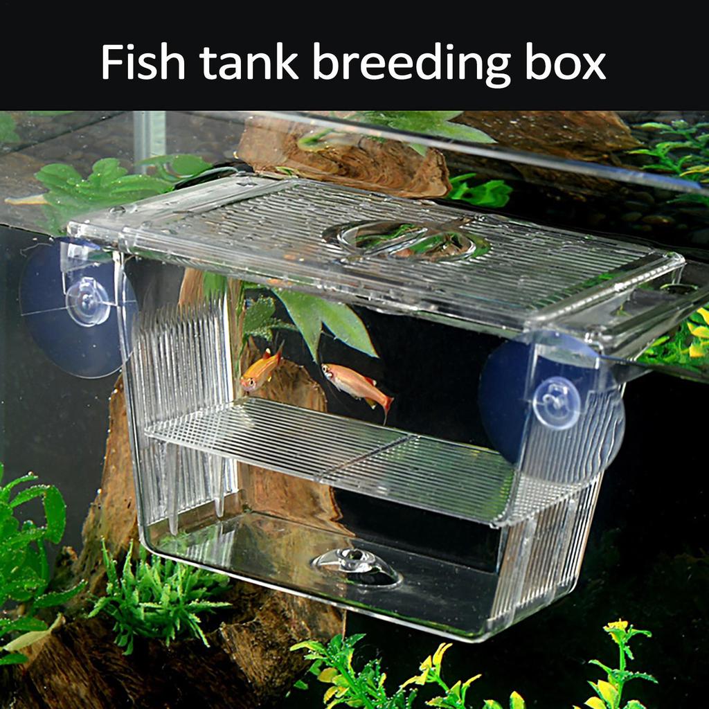 Fish Breeding Box Acrylic Hatchery Incubator Tank Fish Tank Divider Aquarium Breeder Box Fish tank breeding box