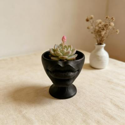 Decorațiuni pentru casă – Ghivece de flori decorative