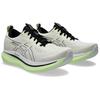 Asics GlideRide Max Wide Birch Black Men Sneakers Grey 1011B959-200