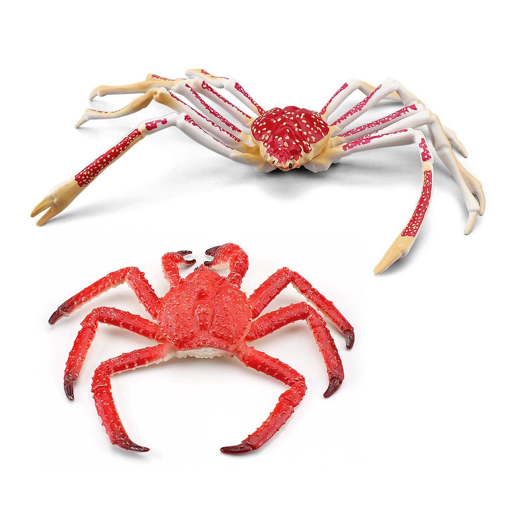 Realistic Children's Ocean Animal Crab Model Featuring Majestic King Crab And Spider Crab