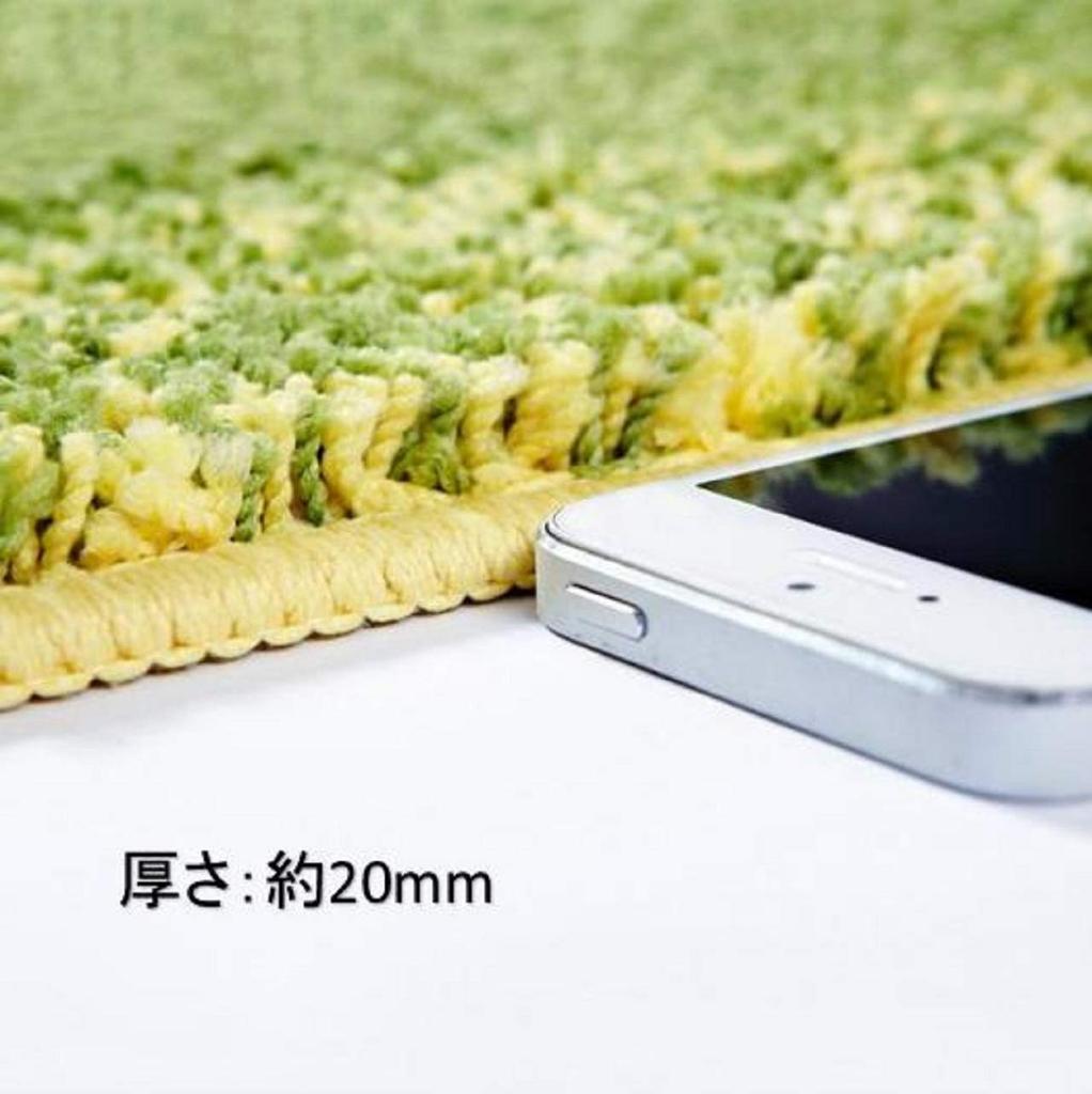 Eingang Skandinavisch Schlamm Wasser Fuß Küche Tür 40x60cm [Queen-b] Matte, Blätter, Design, Stilvoll, Schmutzentferner, Saugfähig, Antibakteriell, Badezimmer,