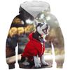 Autumn 3D Animal Pattern Printed Hoodies Fashionable Casual Sports Long Sleeved Children's Boy Hooded Sweatshirts