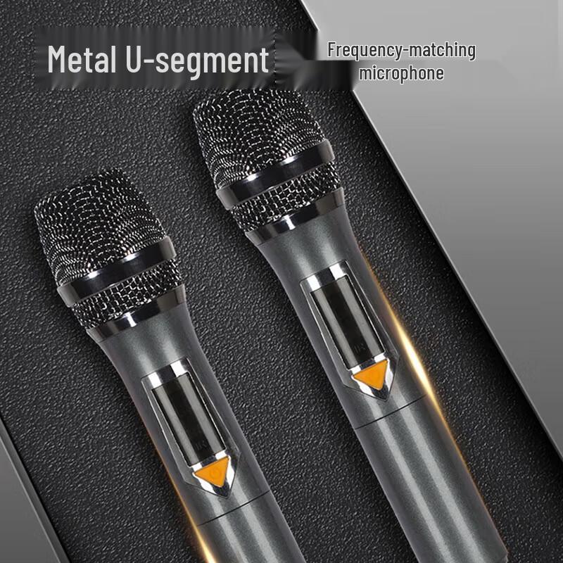 Wanlida M+9111 Portable Bluetooth Karaoke Speaker