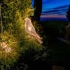 Solar Bird String Lights, Outdoor Waterproof Garden Light, Warm Glow LED Light for Patio Balcony Lawn Decor
