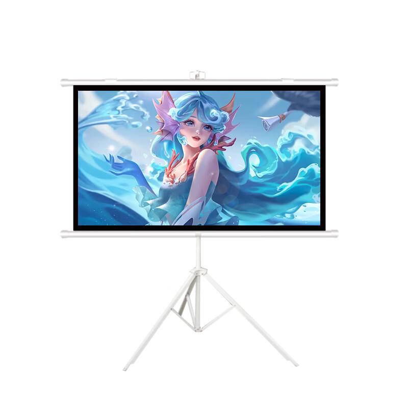 Portable Projector Screen with Stand