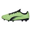 Puma King Platinum 21 Vegan FG AG Fizzy Light Black Men Sneakers Green Asphalt 106675-03