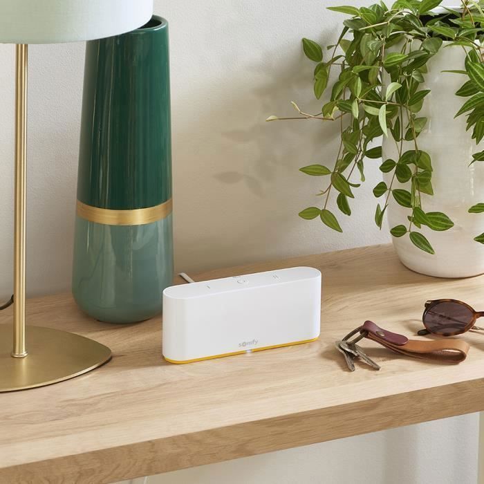 Somfy 1870998 - pack tahoma switch + 1 prise connectée io - commande intelligente compatible io, rts, zigbee 3.0, multiprotocole &amp;