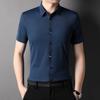 New Shirt Men's Casual Thin Lapel Fashion Solid Color Shirt Cardigan Business Men's Wear