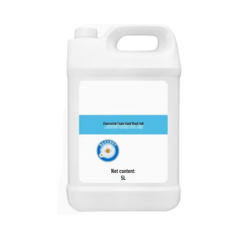Dieyin Personal Care Hand Wash (4-Pack)