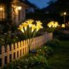 Weather Resistant Flower Decor Solar Lily Light, Garden Lights with Stake, LED Yard Lamp, Warm White Path Lighting Outdoor Decorative Lighting,