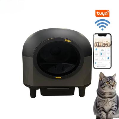 Katzen – Katzenpflege