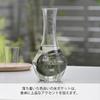 Hario Cool Carafe 360ml Transparent and Perfect for Chilling or As a Wine Decanter with Ice Perfect As a Milk Pitcher or Ice Perfect As a N, Capacity,