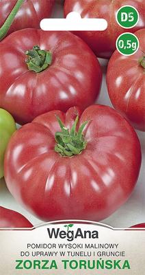 Tomato Zorza Toruńska 0.5g LARGE FRUITS Tomato Seeds -