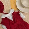 Puppy Gown Pleated Pet Corduroy Skirt Sweet Elegant Bow Dog Skirt Cute New Year Christmas Pet Costume Fall Winter
