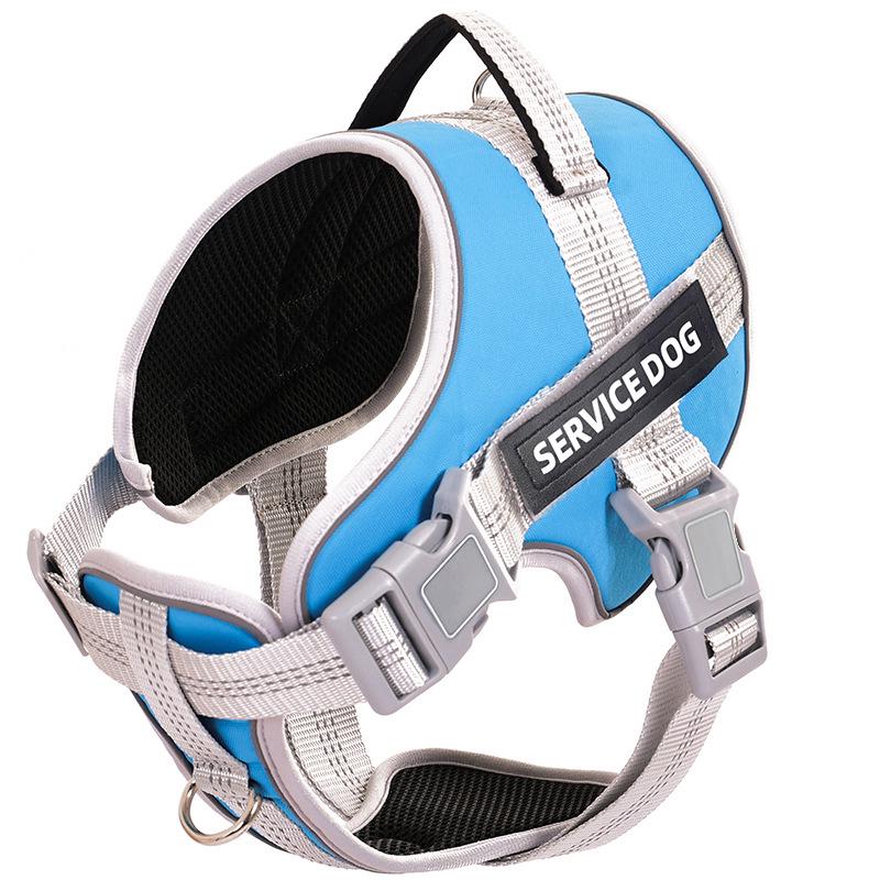 Adjustable Explosion-Proof Dog Leash and Harness for Walking