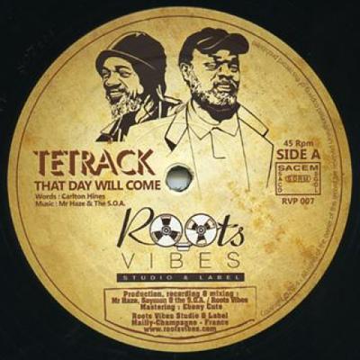 12inch Record TETRACK / EBENE - That Day Will Come / Pink Clouds RVP007 Roots Vibes 2014 Europe Reggae, Ska & Dub