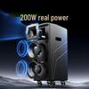 HiVi Portable Outdoor Bluetooth PA Speaker with Dual Wireless Microphones CN Plug (adapter Included)