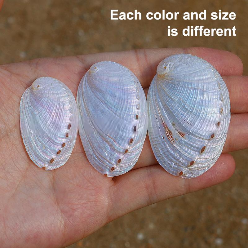 1 Stück DIY Damen Halskette Geschenk Zubehör Weiß Natürliche Abalone Muschel Anhänger Tropfenform Für Schmuckherstellung