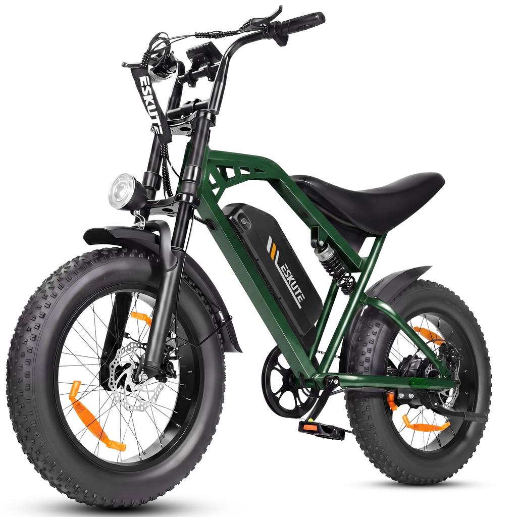 ESKUTE V202 Off-road Electric Bike, 48V 20.8Ah Long-Range Battery, Dual Suspension