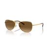Polarized Brown Gradient Pilot Sunglasses Rb3733 001 M2 59