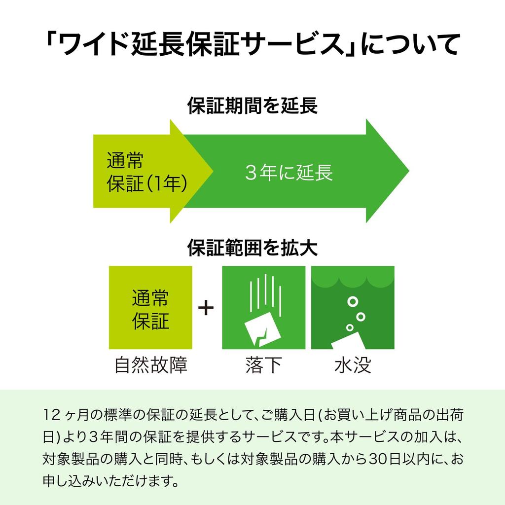 SOURCENEXT BirdieTalk Grau BT1GY + Erweiterter Garantieservice Interaktives Golf-KI-Gerät BirdieTalk