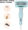 2 In 1 Pet Hair Dryer Brush 3 Gear Adjustable Temperature Dog Hair Dryer with Slicker Brush Pet Grooming Dryer for Cats Dogs