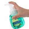 Liushen Antibacterial Foaming Hand Soap (Mugwort & Lime) 2-Pack