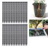 Plant Aeration Tubes Planter Insert Ventilation Tubes Rootlet Rot Prevention Tube Prevent Overwatering for All Types of Flower Pots