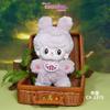 Null Shinzennoya Series Trading Plush 1box 6pcs