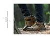 Men's Plus Velvet High-Top Hiking Shoes, Size 46-47 – Non-Slip, Wear-Resistant for Autumn/Winter Outdoor Adventures