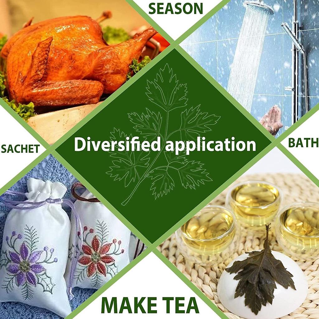 2023 Thé à l'armoise à feuilles séchées TEARELAE - Herbes sans OGM 114g