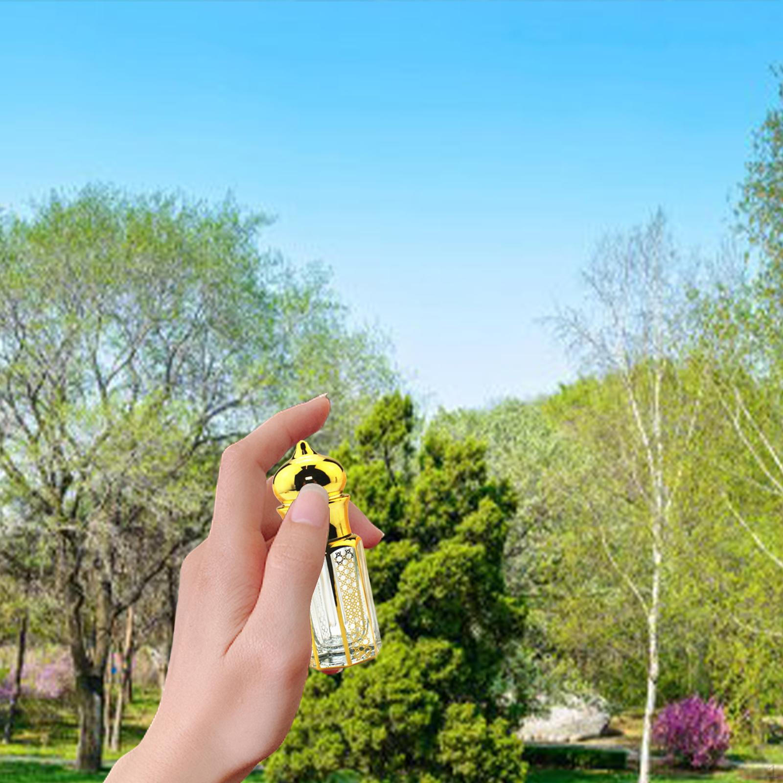 

Флаконы для духов, многоразовая необходимая бутылка, дозатор образцов, стеклянная дорожная бутылка для улицы 3ml Dropper Bottles