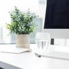 Small Potted Eucalyptus Artificial Plant for Shelf, Desk, or Table Decoration