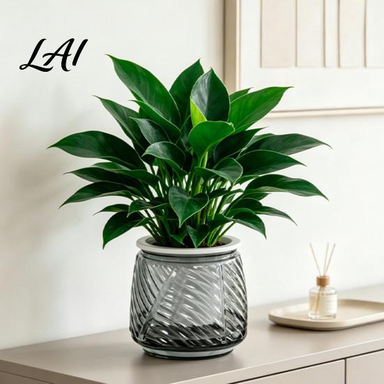 Deep Soil Planting Basin Self Watering Planter with Wick Rope for Indoor Plants Double Layer Pot Home Transparent Hydroponic Planter Decorative