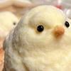 Handmade Chick Stress Relief Toy Pocket Size Ultra Soft Chick Squeeze Fidget Toy Anxiety Release Chick Pinch Sensory Toy Easter Stuffers