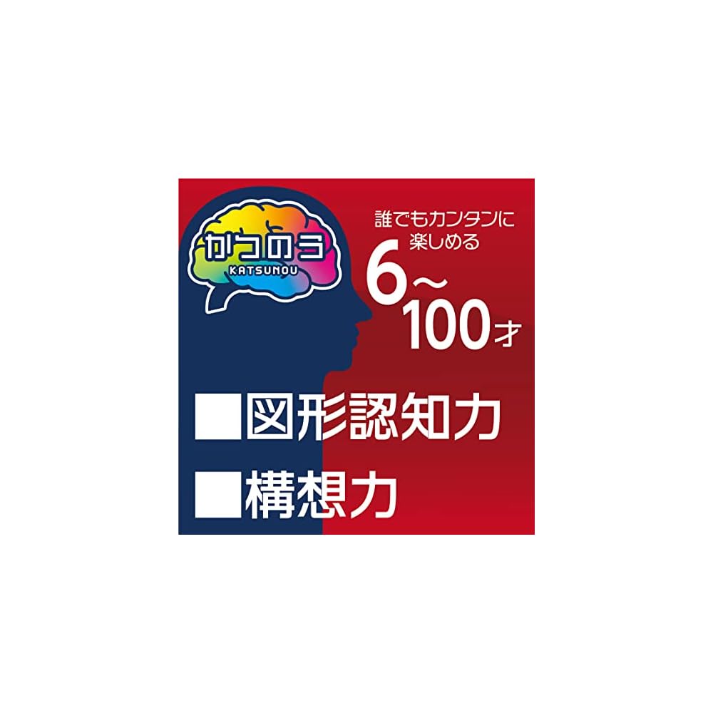 Hanayama Tangram Puzzle Game Classic Wooden Brain Teaser Educational Toy