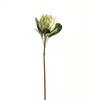 Hill Interiors Protea Protea Artificial Flower