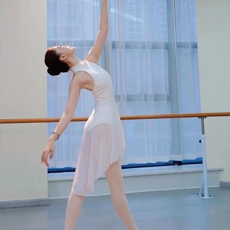 Elastic Mesh Diagonal Ballet Skirt: Women's Gymnastics Leotard Dance Practice Gauze Skirt, Half-Body