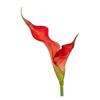Fireball Calla Lily Artificial Flower