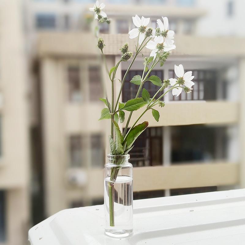 Charming Small Glass Cork Bottle for Seashells or Feather Collections