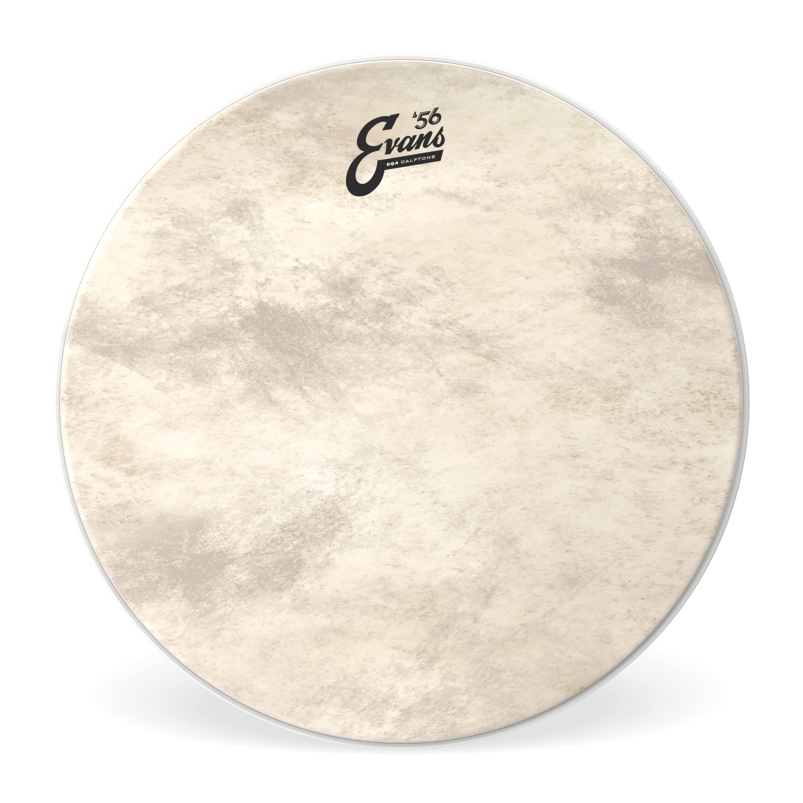 

EVANS Evans drum head EQ4 Calftone Tom Hoop TT16GB4CT 16 inch []