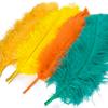 10PCS Big Ostrich Feathers 15-60cm for DIY Craft Wedding Table Center Decor Ostrich Plumas Carnival Party Stage Accessories Bulk
